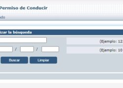 estado tramitacion carnet conducir