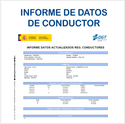 informe de datos de conductor